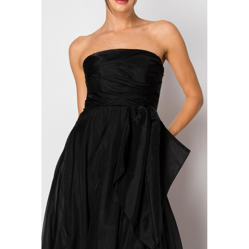 Organza Sleeveless Draped Bodice Maxi Dress-Dress-INA-S-BLACK-Urbanheer