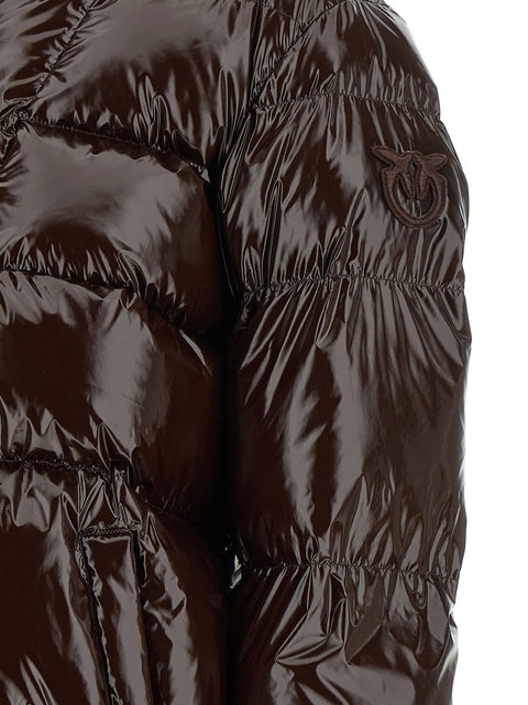 Pinko Eleodoro Down Jacket