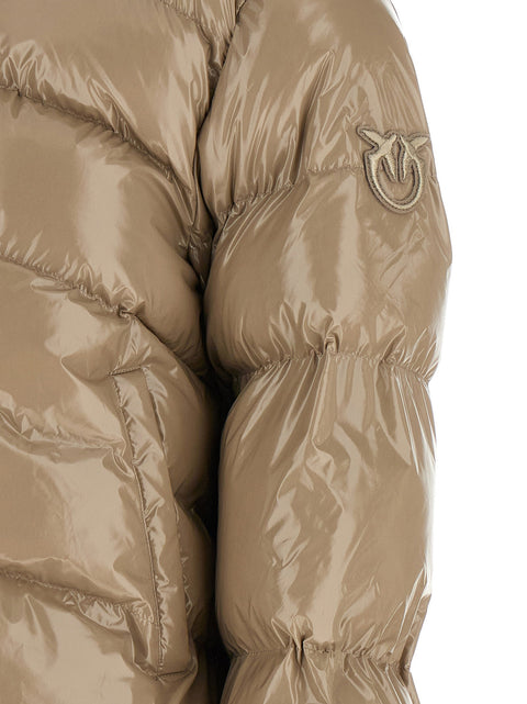 Pinko Mirco Down Jacket