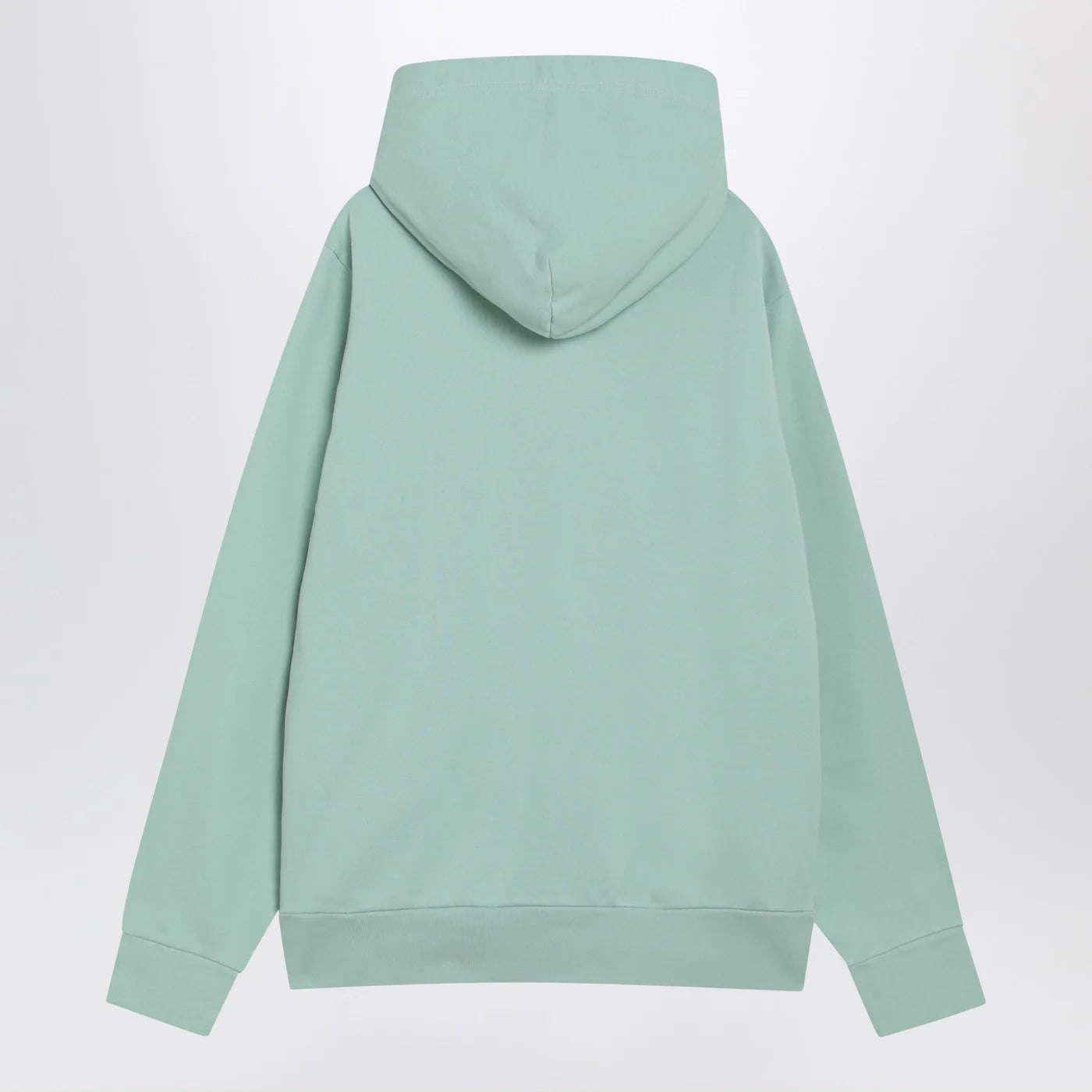 Polo Ralph Lauren Aquamarine cotton hoodie