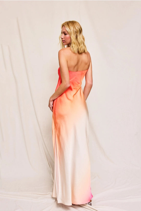 Radiance Ombre Strapless Bias Cut Maxi Dress HIBISCUS COSMO-Dress-Dress Forum-S-HIBISCUS COSMO-Urbanheer