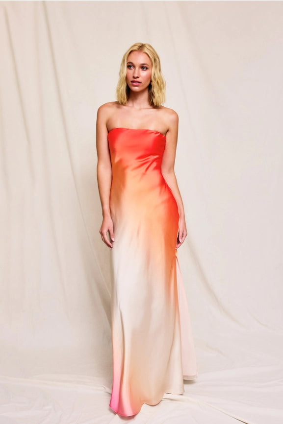 Radiance Ombre Strapless Bias Cut Maxi Dress HIBISCUS COSMO-Dress-Dress Forum-S-HIBISCUS COSMO-Urbanheer
