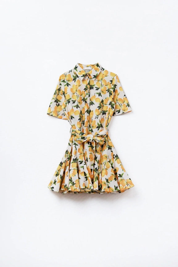 Romantic Dress with Waistband and Lemon Print and Short Sleeves-Dress-Q2-S-YELLOW-Urbanheer