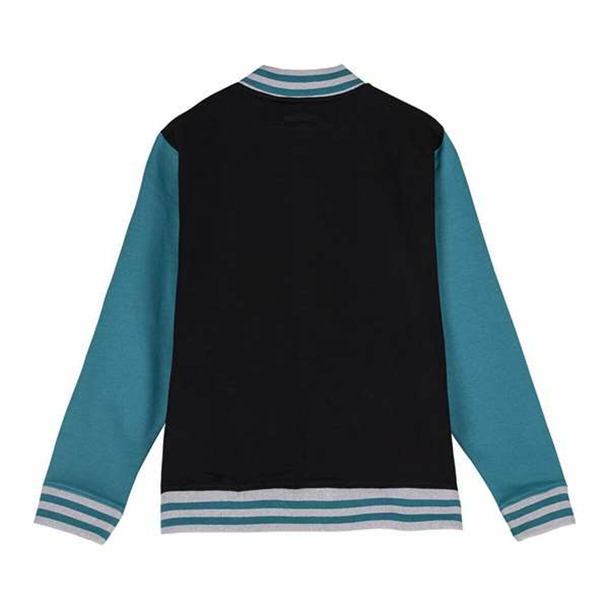 V3H736B5E3415A86223814A838091C4AD17R5507996P2