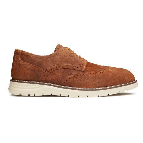STEEL TOE OXFORD SHOE MASTER GINGER-Active Safe-Proxon Premium Workwear-8-Urbanheer