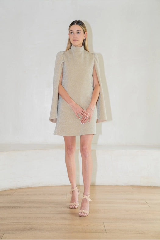 Sable Removable Sleeves Mini Dress-Dress-Ashley Stambouli-XS-Urbanheer