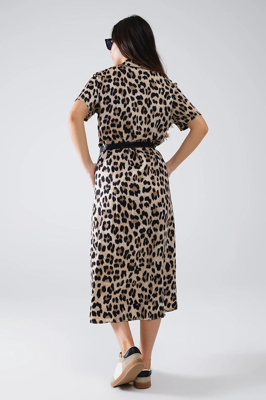 Short Sleeve Shirt Midi Dress with Belt in Leopard Print-Dress-Q2-S-Brown-Urbanheer