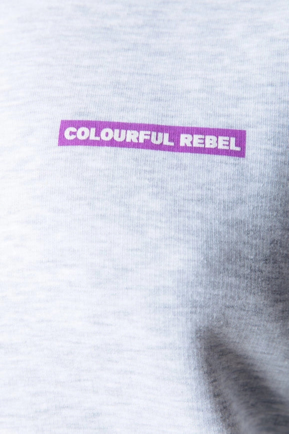 Sleeve Logo Hoodie | Light Grey Melange-Hoodie-Colourful Rebel-XS-Light grey melange-Urbanheer