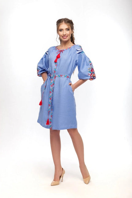 Sona Blue Embroidered Dress