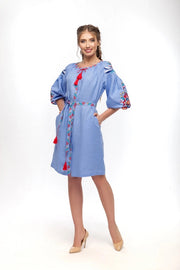 Sona Blue Embroidered Dress-Dress-Slobozhanka-XS-Urbanheer