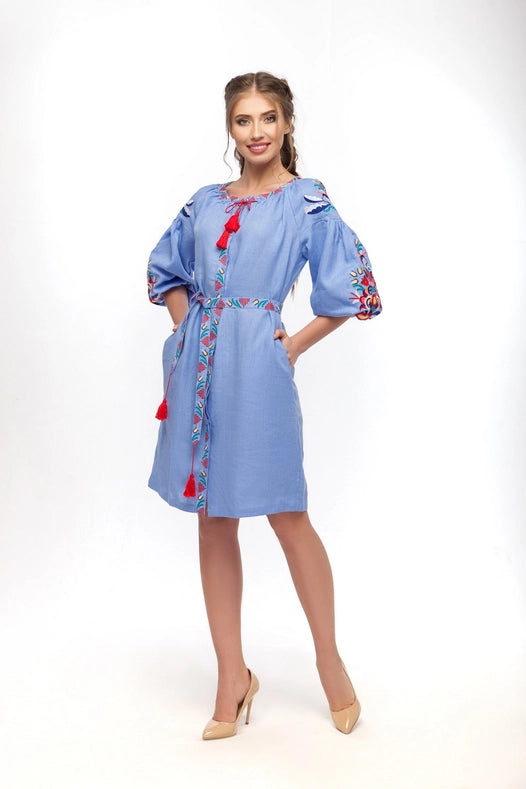 Sona Blue Embroidered Dress-Dress-Slobozhanka-XS-Urbanheer