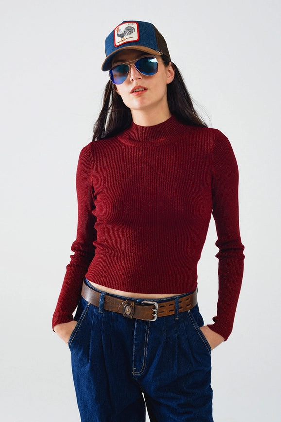 Sparkling Red Glitter Turtle Neck Long Sleeve Sweater-Sweaters-Q2-S-Red-Urbanheer