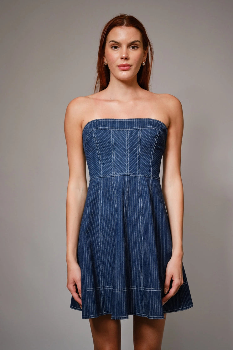 Striped Denim Tube Fit and Flare Mini Dress
