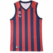 T-Shirt Puma Baskonia Home Game J.Peacoat-Sports | Fitness > Sports material and equipment > Sports t-shirts-Puma-XL-Urbanheer