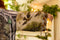 Theatre of Dreams Cropped Bamboo Kimono with Swan-Kimono-Market of Stars-length 60cm width 74 cm-Urbanheer