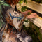 Theatre of Dreams Long Duster Bamboo Kimono Robe with Deer-Kimono-Market of Stars-length 118cm width 78 cm-Urbanheer