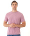 Triblend Crew Neck Tee
