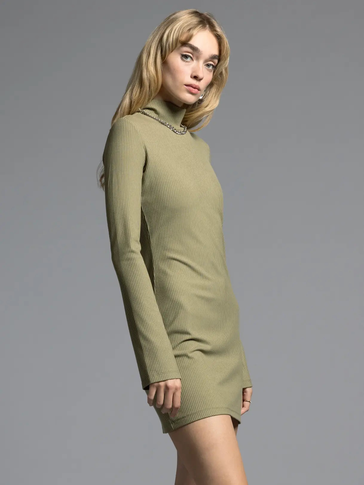 Turtleneck Ribbed Dress