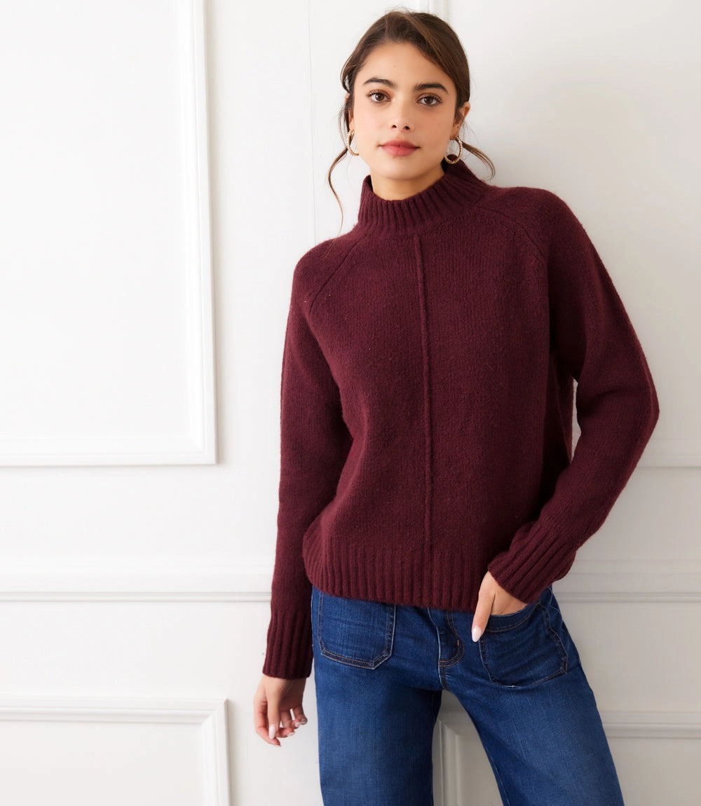 Turtleneck Sweater in Red