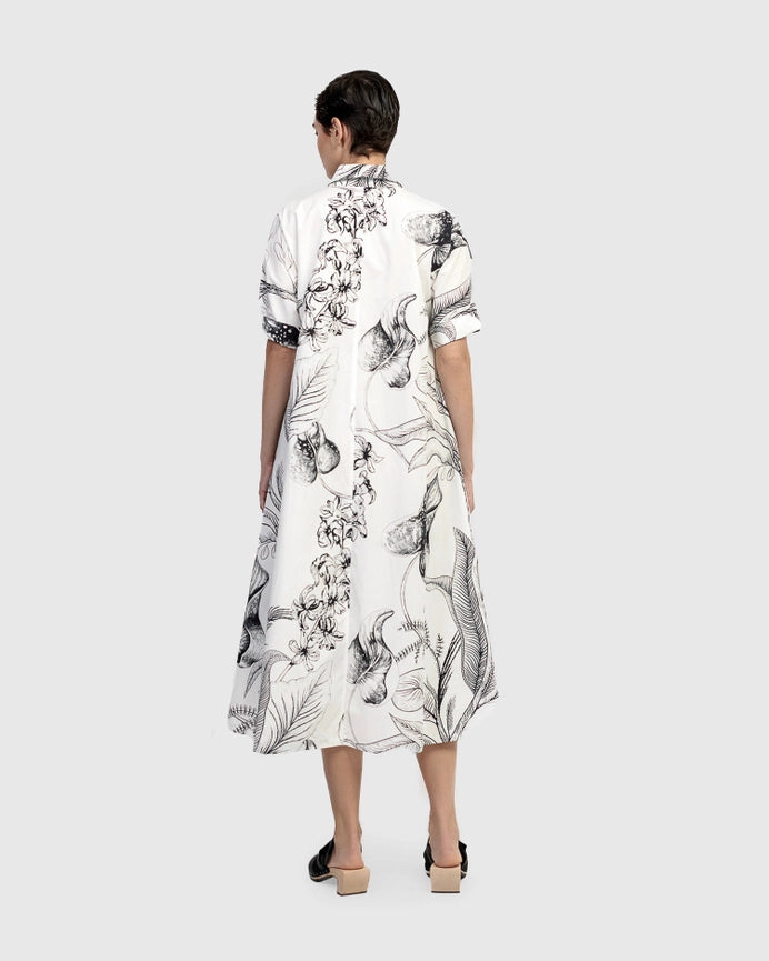 Urban Brixton Shirt Dress, Zebra-Dress-Alembika-S-zebra-Urbanheer