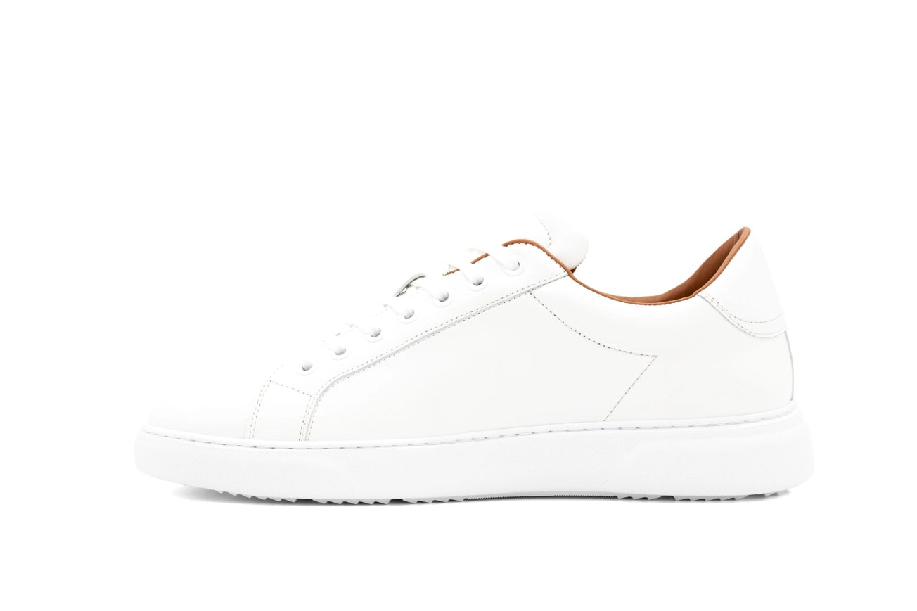 White Sneakers-Sneakers-Cavalinho North America-41-Urbanheer
