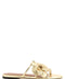 Zimmermann Orchid Slides