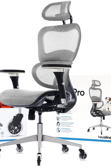 Ergopro Ergonomic Office Chair-Office Chairs-Oline-Grey-Urbanheer
