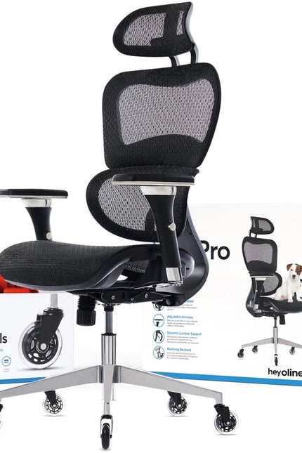 Ergopro Ergonomic Office Chair-Office Chairs-Oline-Black-Urbanheer