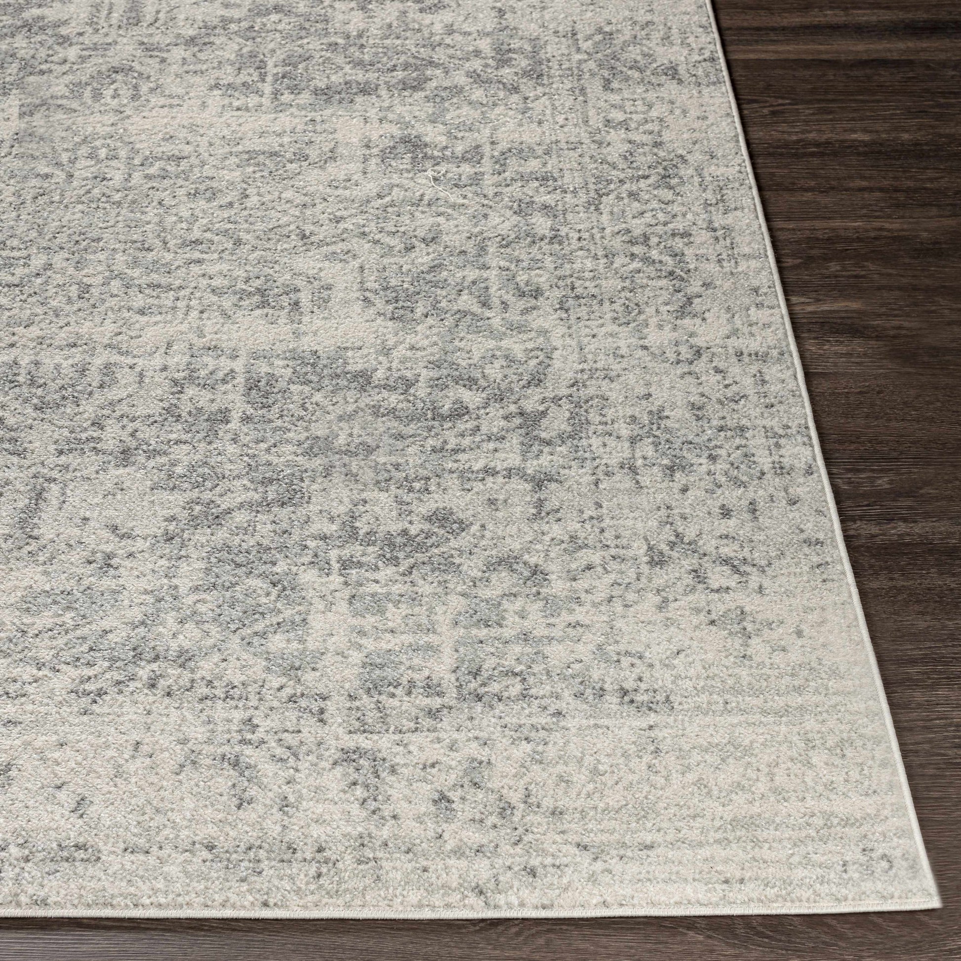 Rachel Area Rug-Rugs-Hauteloom-2'7" x 7'3" Runner-Urbanheer