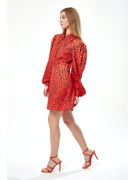 Liquorish Animal Print Mini Dress-Liquorish-8-Urbanheer