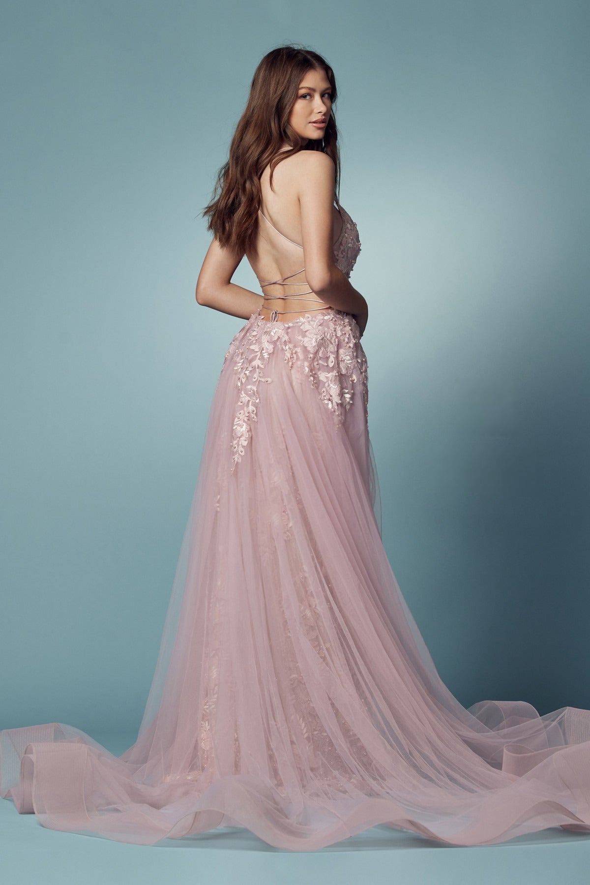Embroidered Lace Illusion V-Neck Prom-Clothing - Women-NXAB-2-BLUSH-Urbanheer