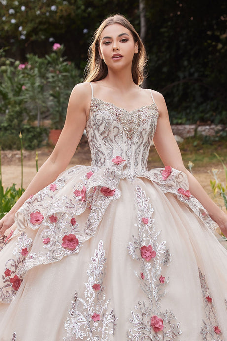 Layered Tulle Quince with foral applique V-neck Laced Open Back Corset Bodice Luxury ball & Prom Dress CD15703-1