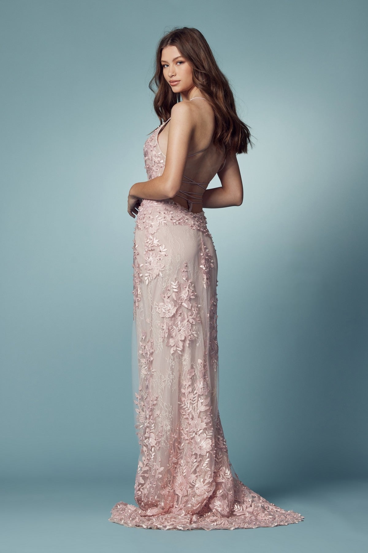 Embroidered Lace Illusion V-Neck Prom-Clothing - Women-NXAB-2-BLUSH-Urbanheer