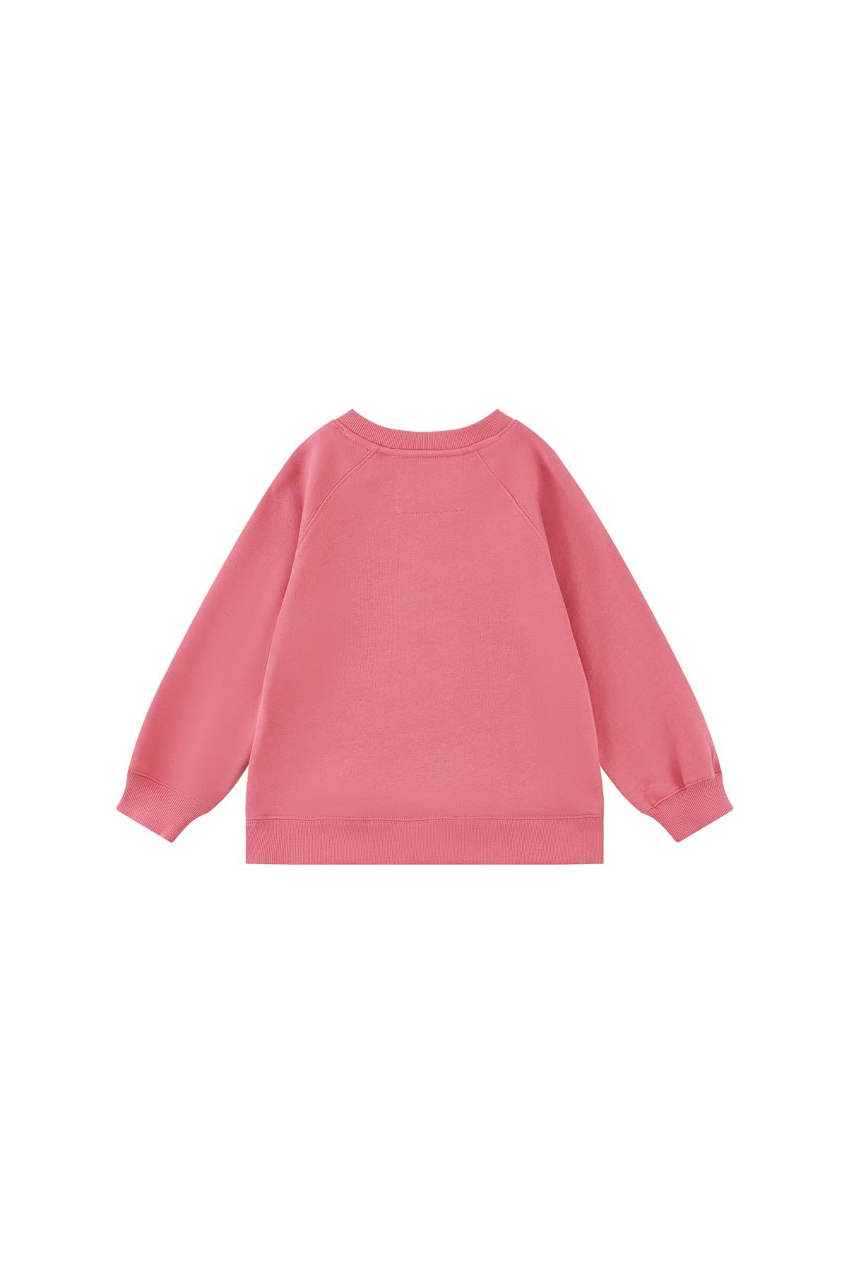Toddler Organic Crew Neck Sweatshirt-Desert Rose-NORSU-ORGANIC-12-18M-Desert Rose-Urbanheer