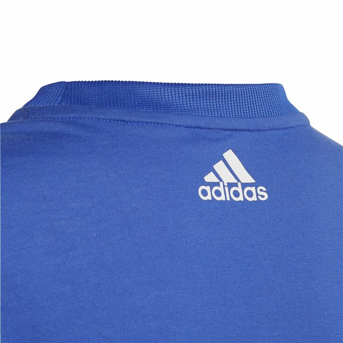 Children's Short Sleeved Football Shirt Adidas Predator – UrbanHeer