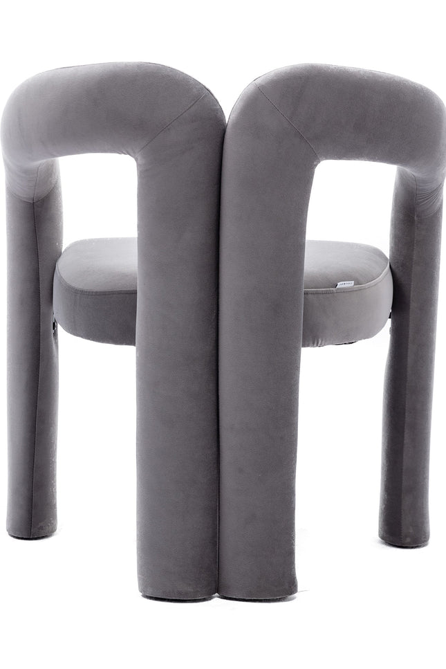 Set Of 2 Contemporary Upholstered Accent Chair-Accent Chair-Blak Hom-Urbanheer