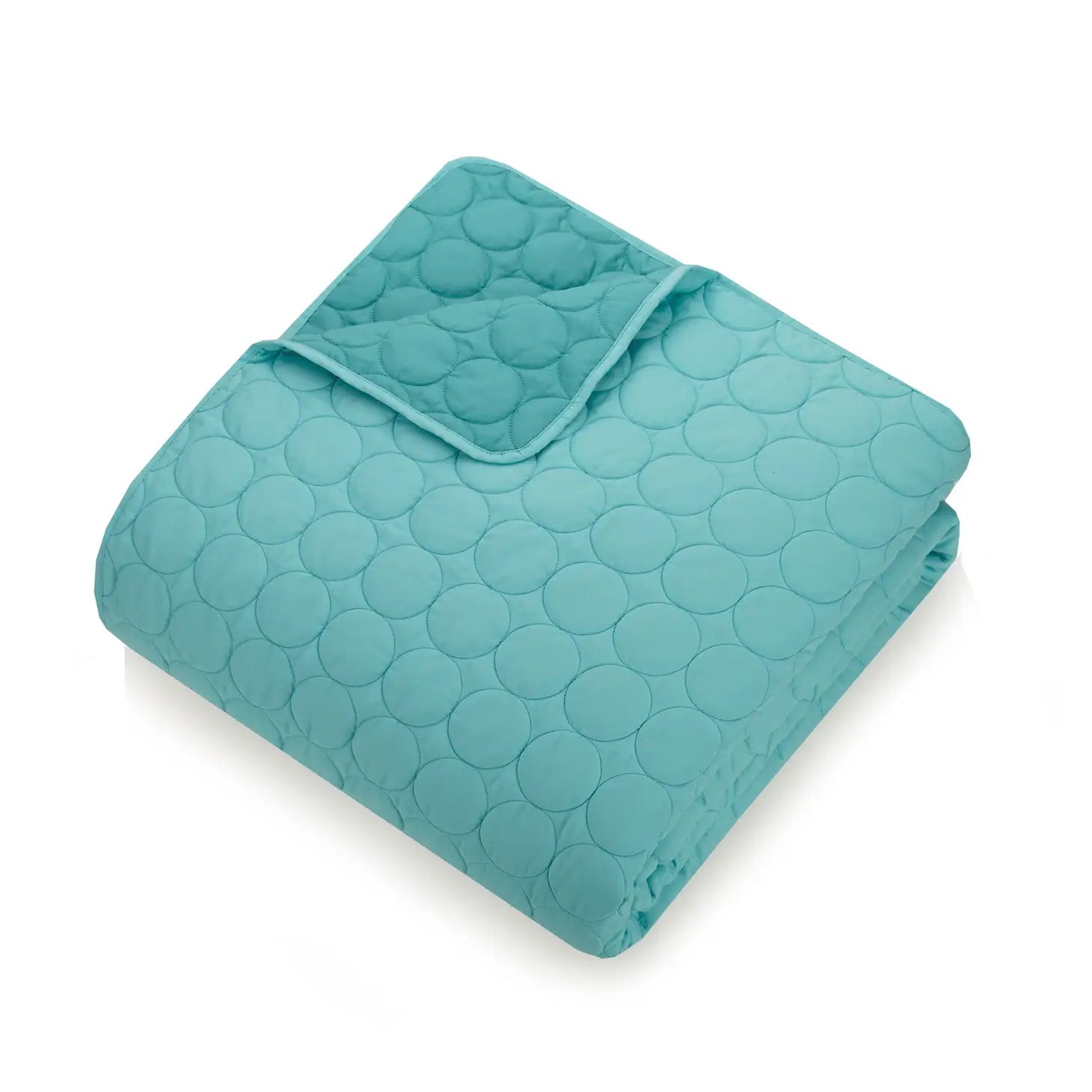 Denita Quilt Set (2Pc/3Pc) By Urban Playground-peking handicraft-Twin-Urbanheer