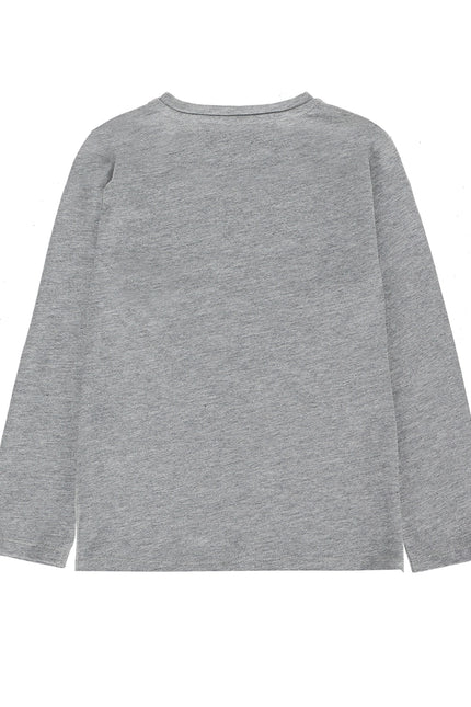 Boy'S T-Shirt In Grey Cotton Jersey-UBS2-Urbanheer