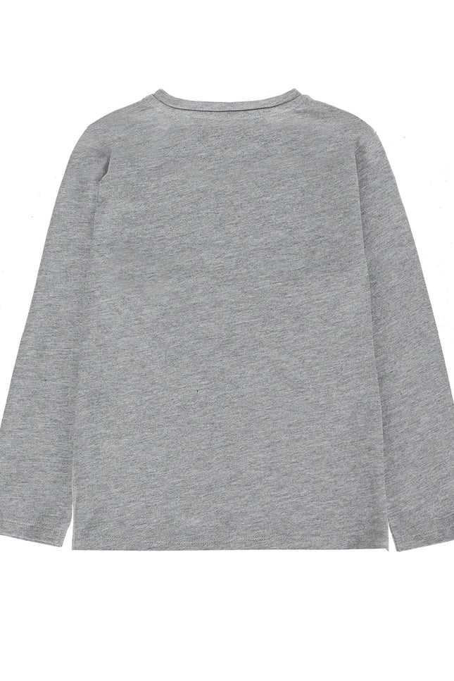 Boy'S T-Shirt In Grey Cotton Jersey
