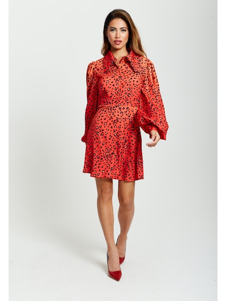 Liquorish Animal Print Mini Dress-Liquorish-8-Urbanheer