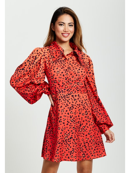 Liquorish Animal Print Mini Dress-Liquorish-8-Urbanheer