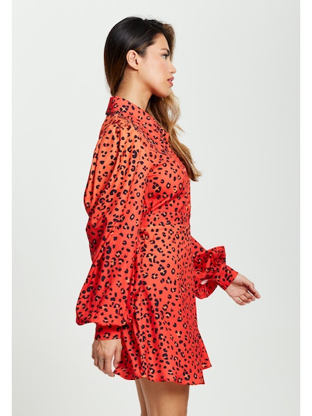 Liquorish Animal Print Mini Dress-Liquorish-8-Urbanheer