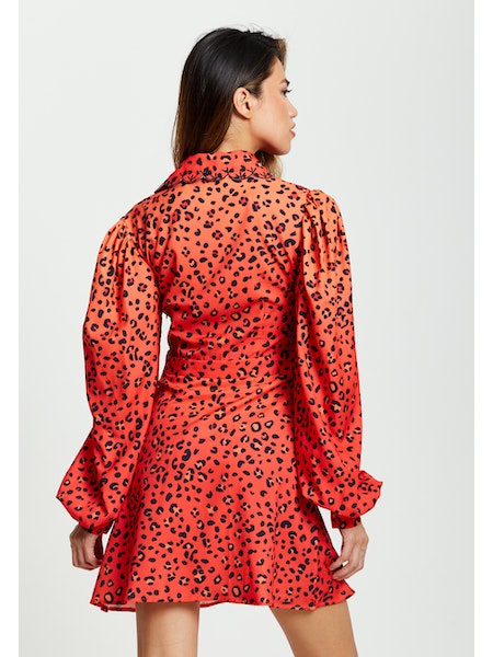 Liquorish Animal Print Mini Dress-Liquorish-8-Urbanheer