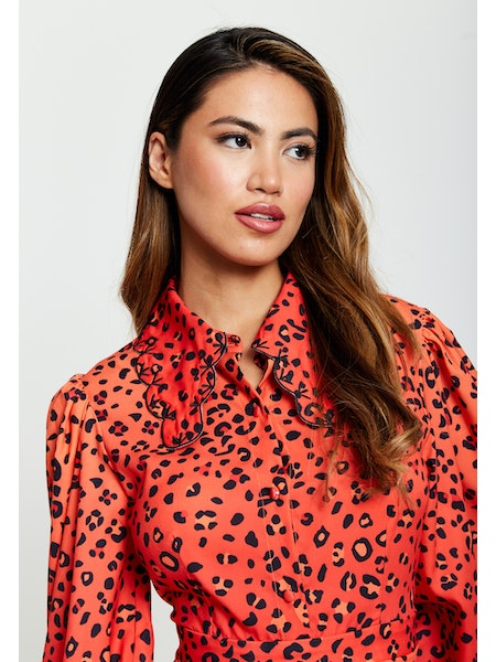 Liquorish Animal Print Mini Dress-Liquorish-8-Urbanheer