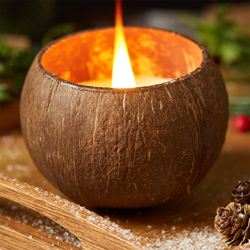 Coconut Shell Candle - Toasted Coconut Scent-Jungle Culture-Toasted Coconut-Urbanheer