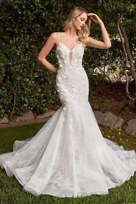 Layered Lace Mermaid Illusion V-Neck Long Wedding Dress CDCD856W-0