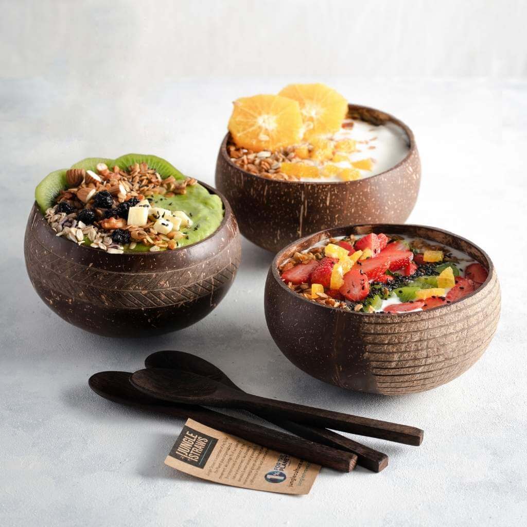 Eco-Friendly Coconut Bowls & Spoons Set Of 4-Jungle Culture-Striped-Urbanheer