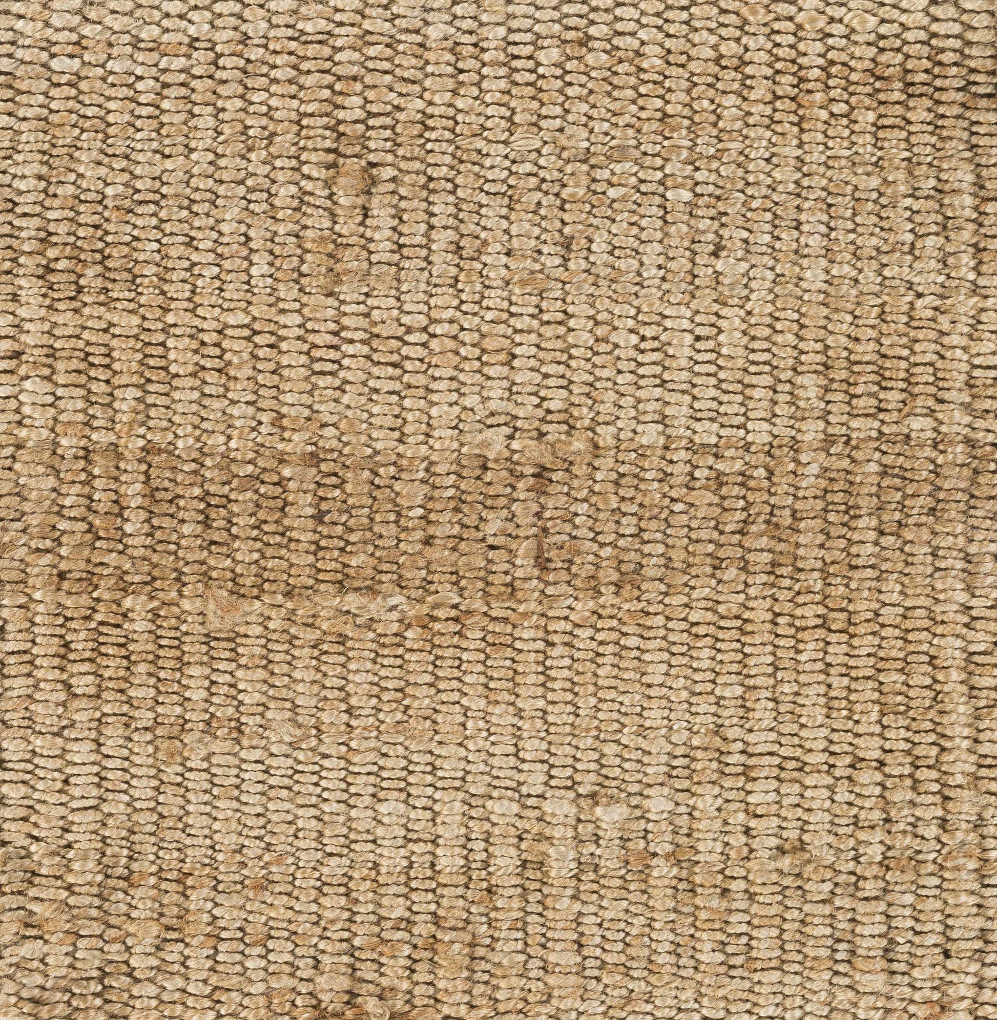 Oaks Jute Rug-Rugs-Hauteloom-2'3" x 4' Rectangle-Urbanheer