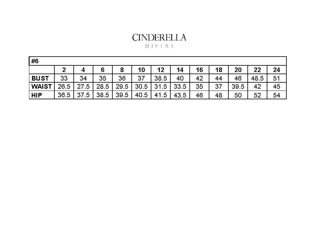 Floral A-Line Gown-Evening-Tux-USA-6-Champagne-Urbanheer